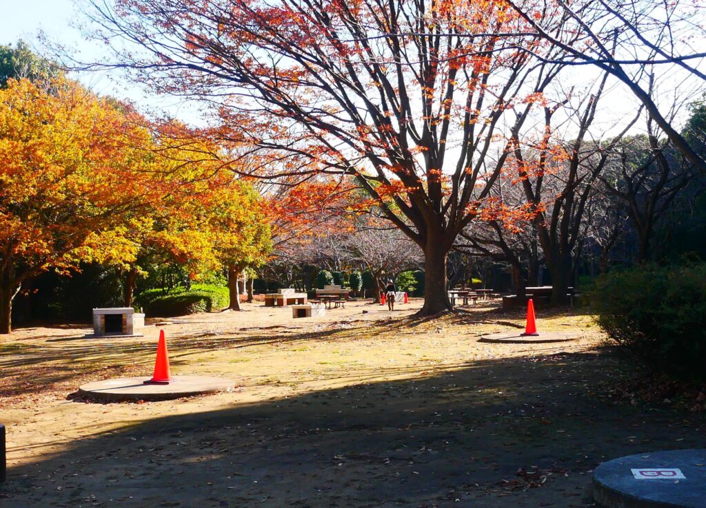 narashino-kasumi-park