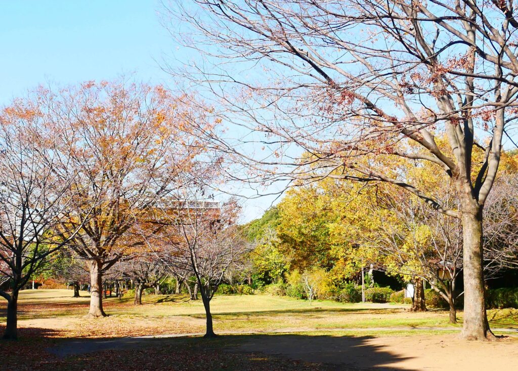 narashino-kasumi-park