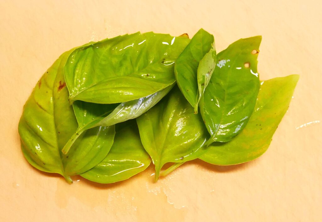 Boiled-tomatoes-with-basil