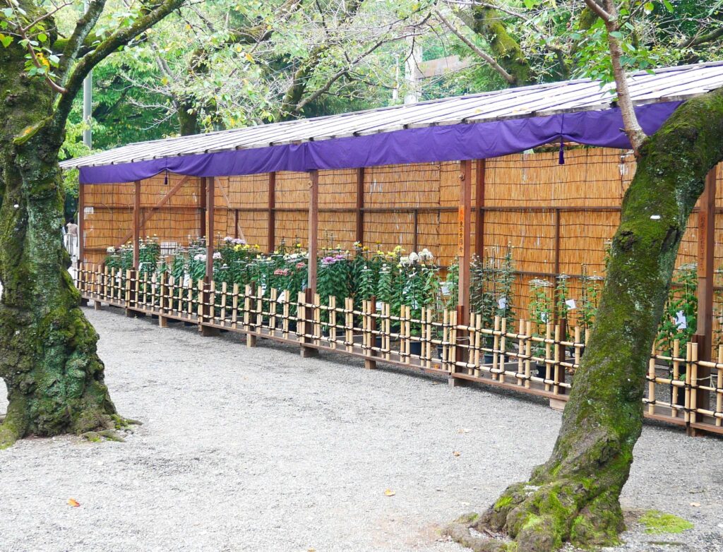 Yasukuni-Shrine