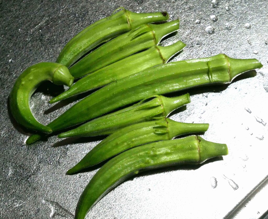 Early-Okra