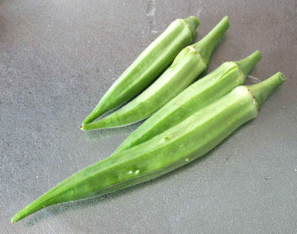 Early-Okra