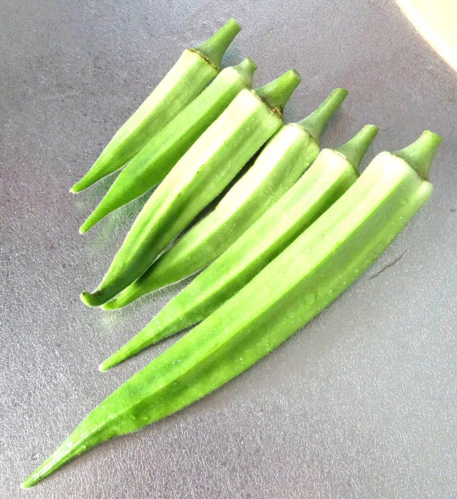 Early-Okra