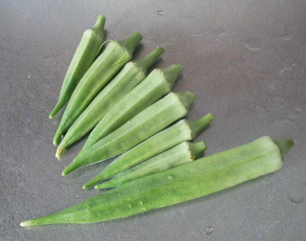 Early-Okra