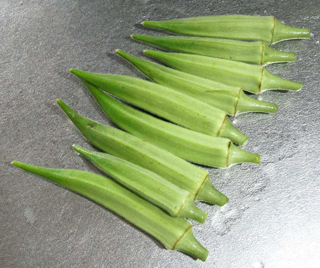 Early-Okra