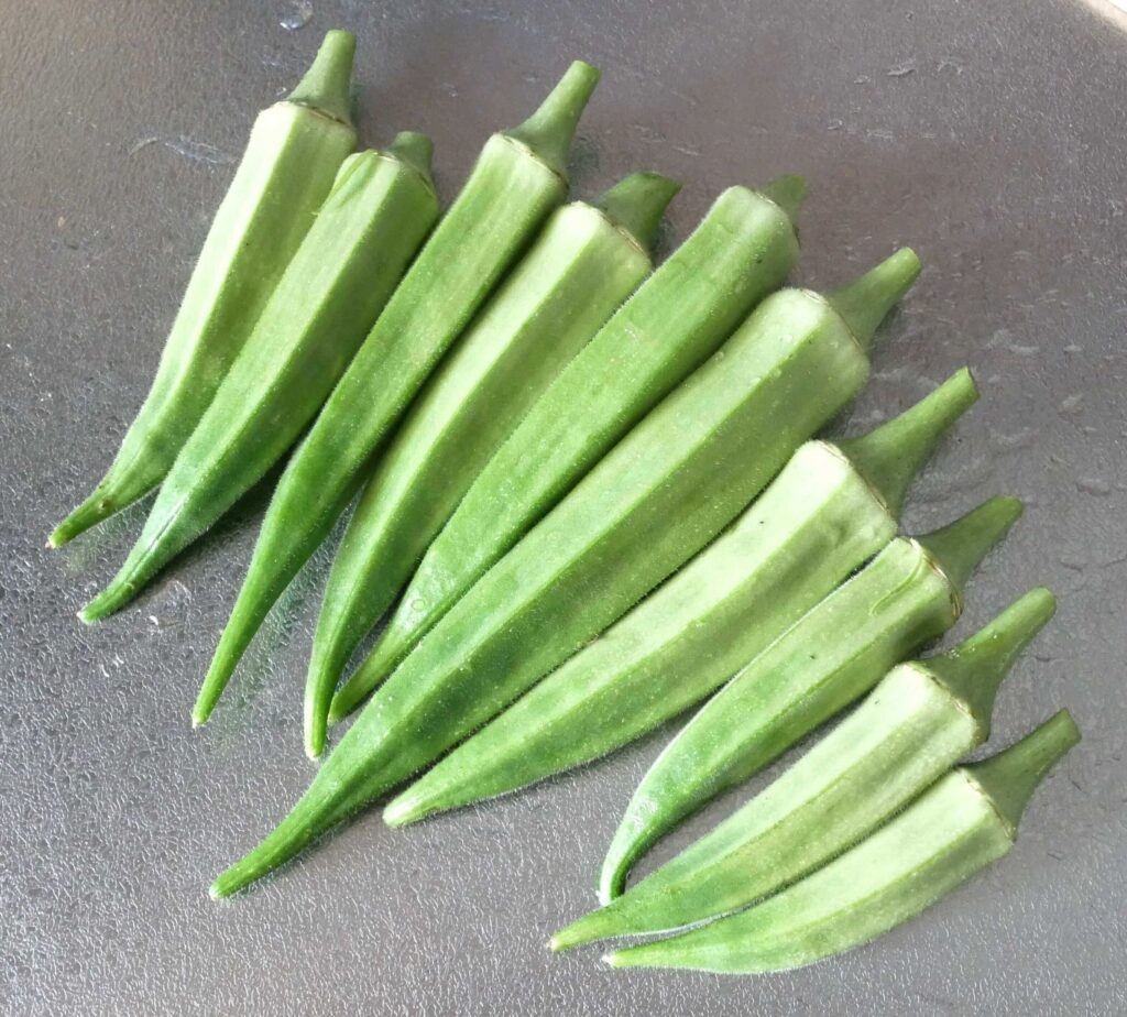 Early-Okra