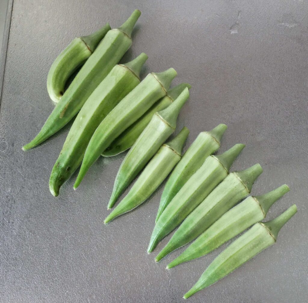 Early-Okra