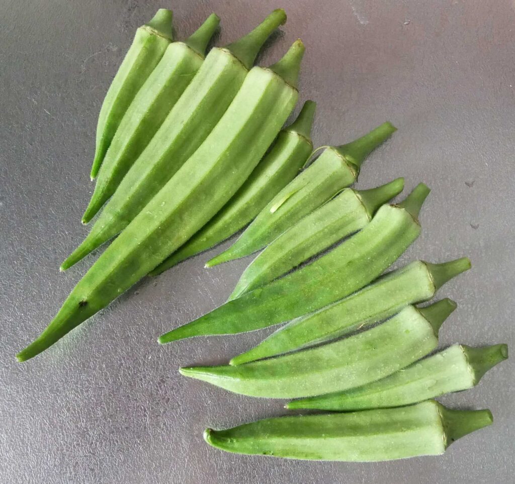 Early-Okra