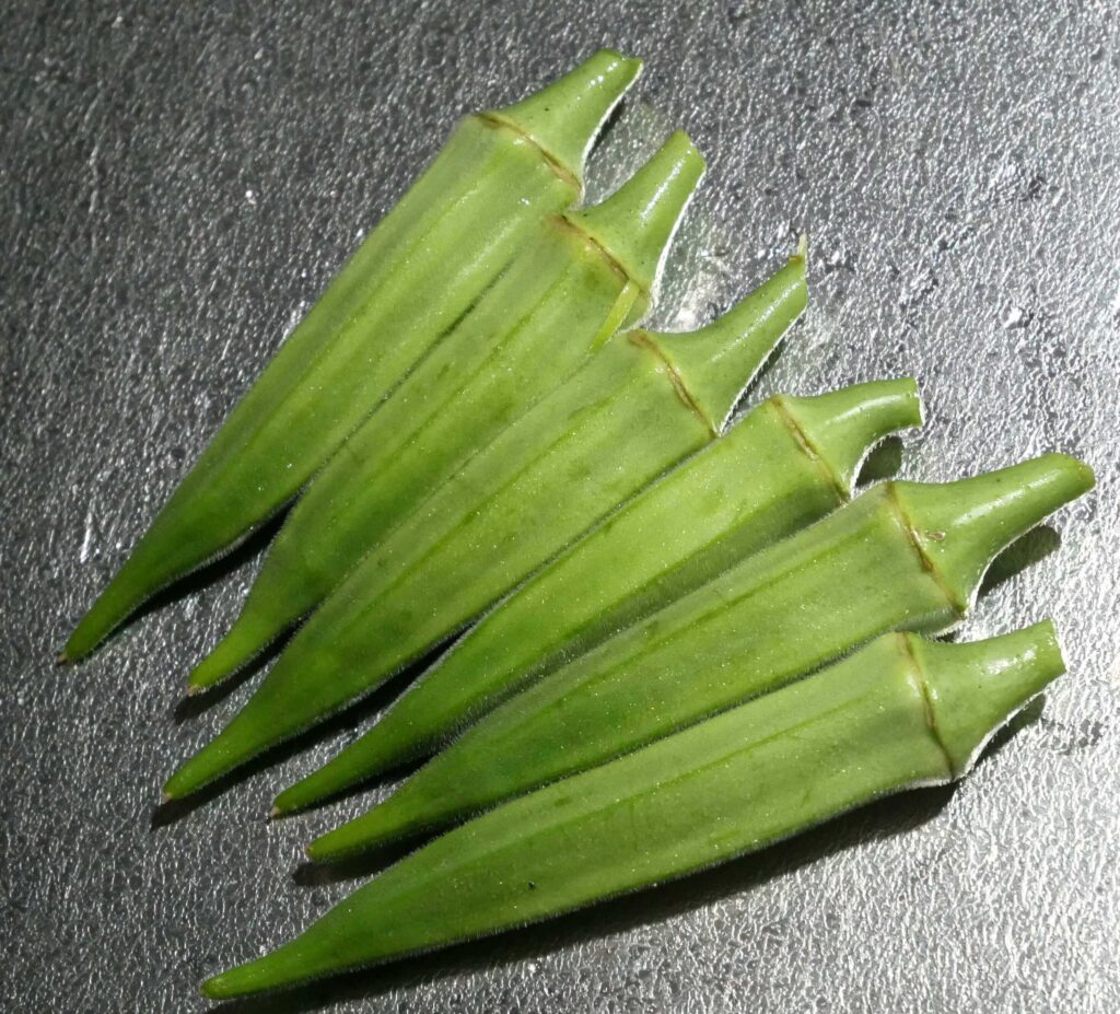 Early-Okra