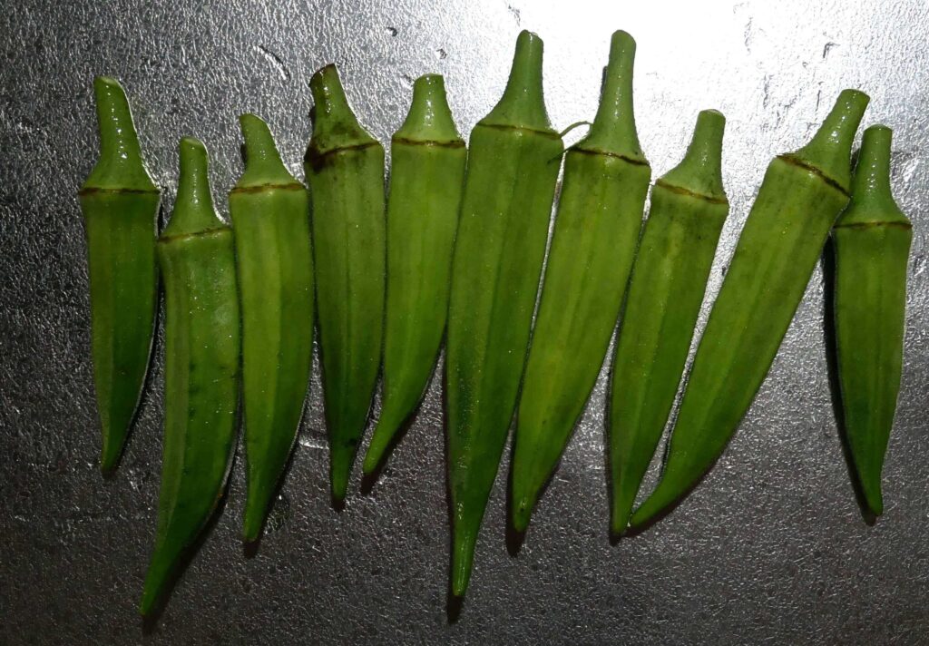 Early-Okra