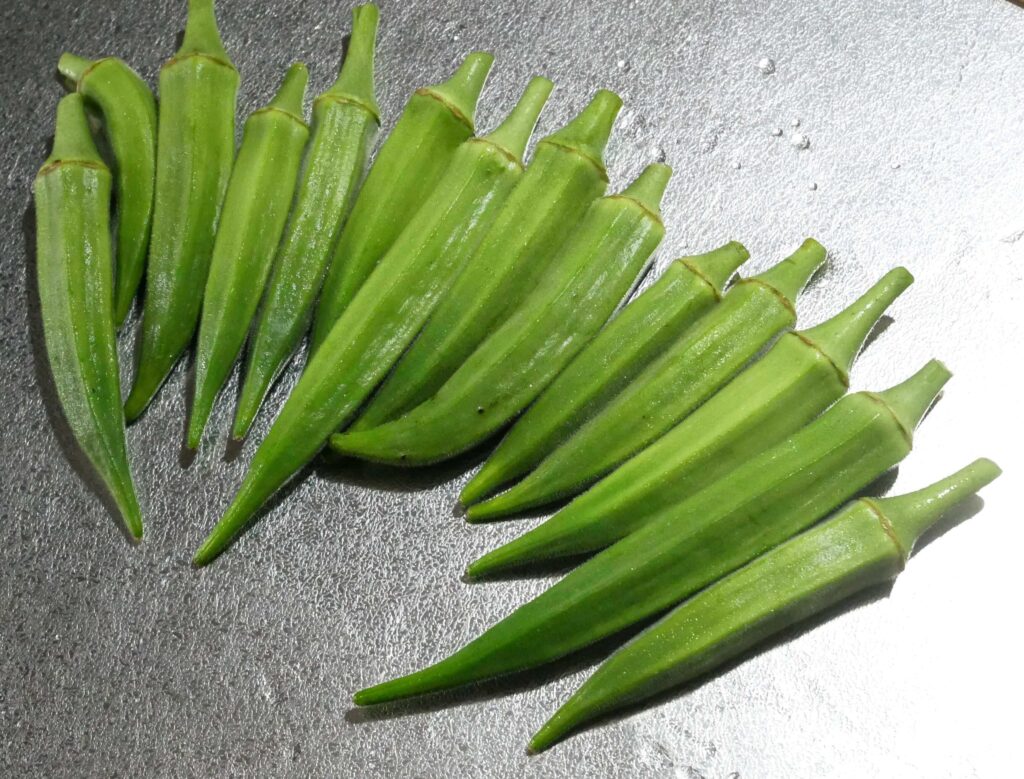 Early-Okra