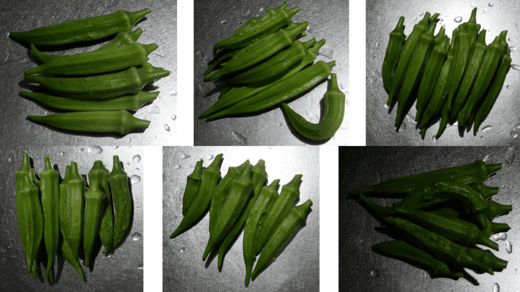 Early-Okra