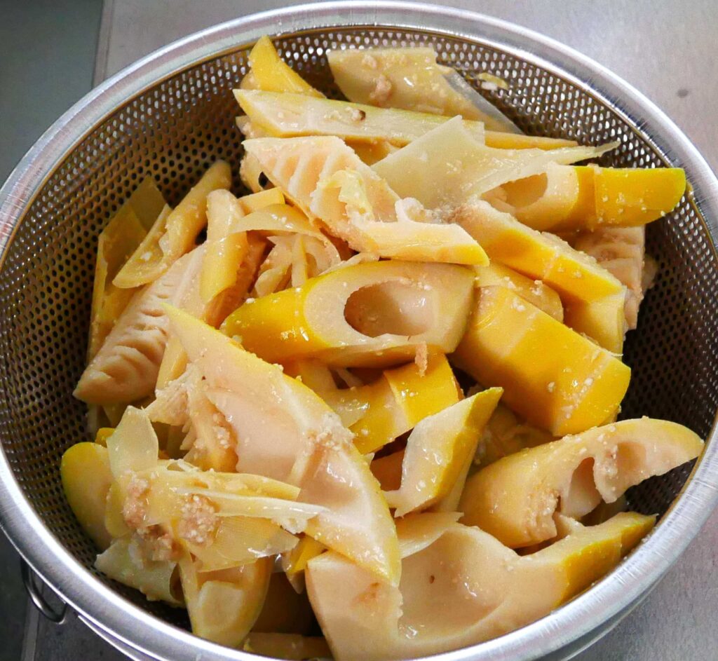 Bamboo-shoots