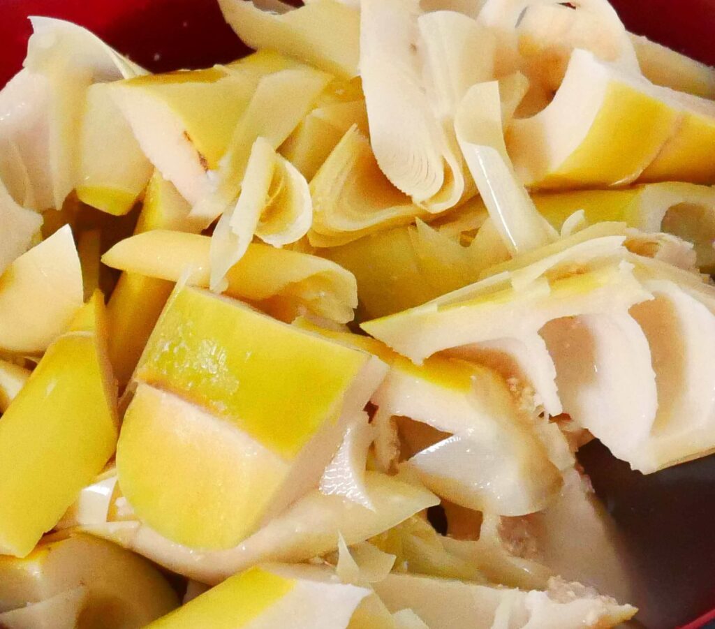 Bamboo-shoots