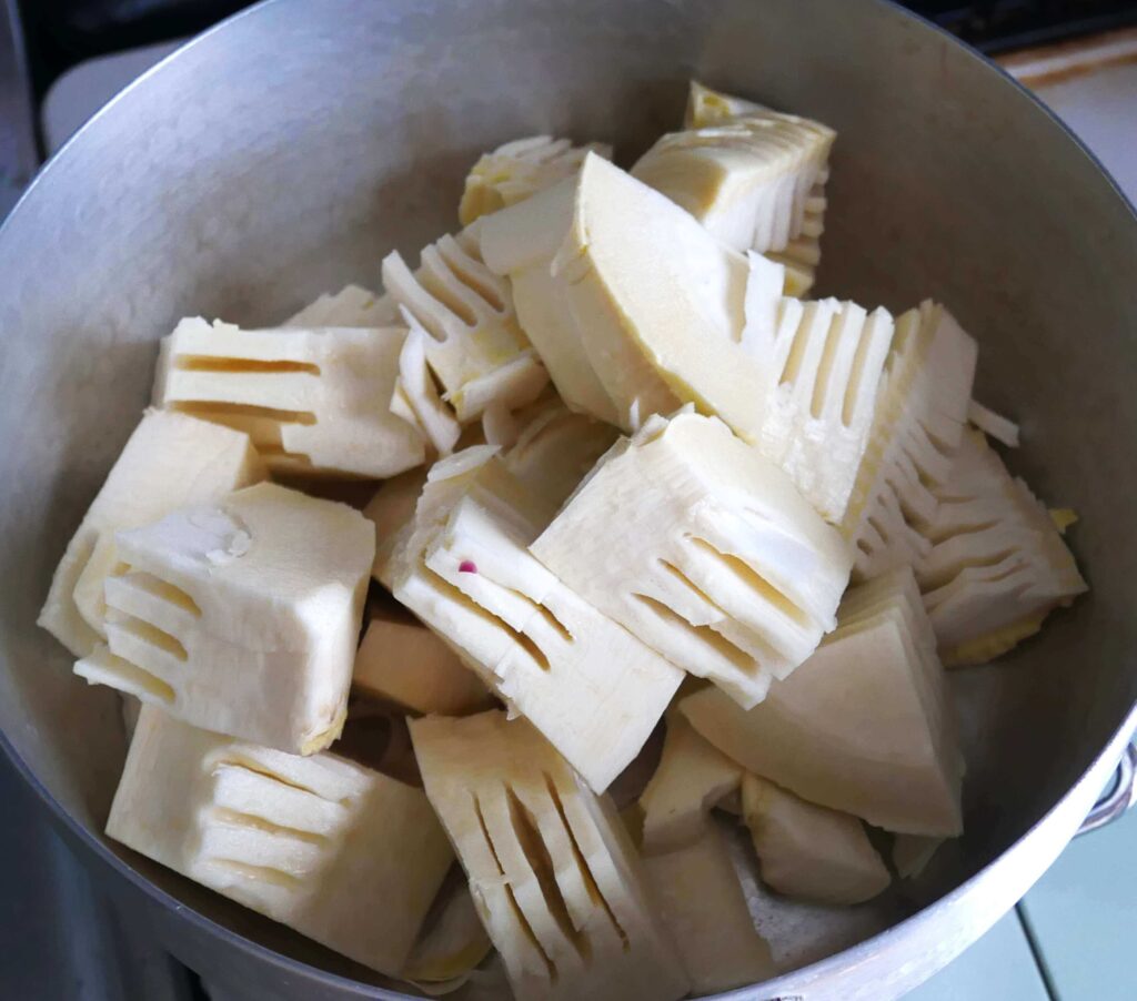 Bamboo-shoots