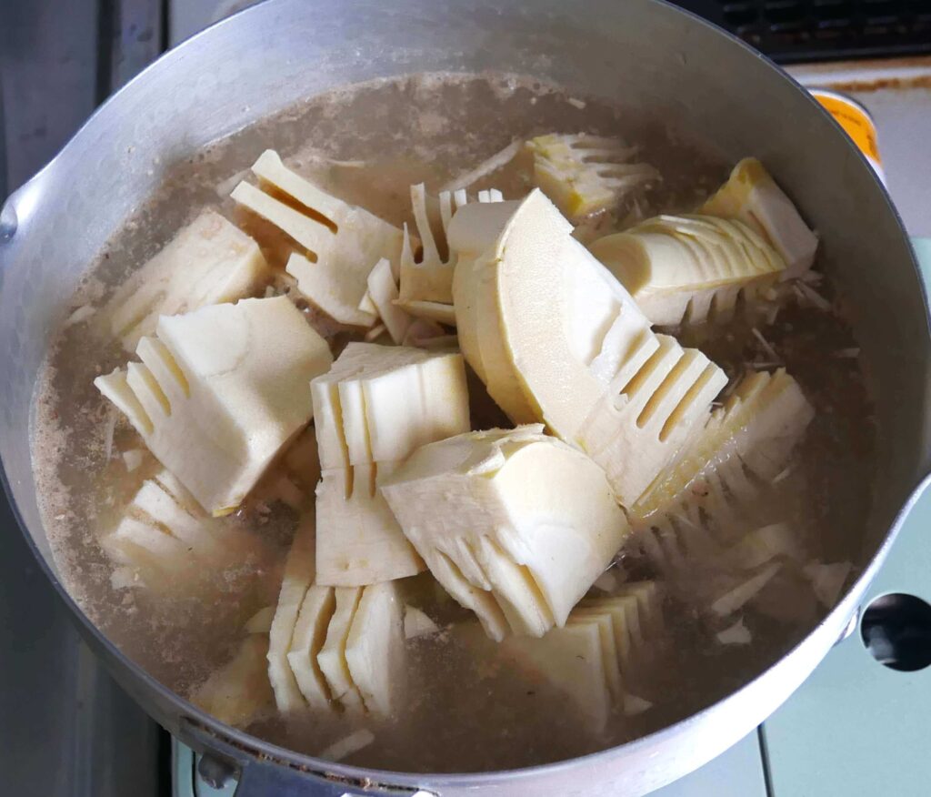 Bamboo-shoots