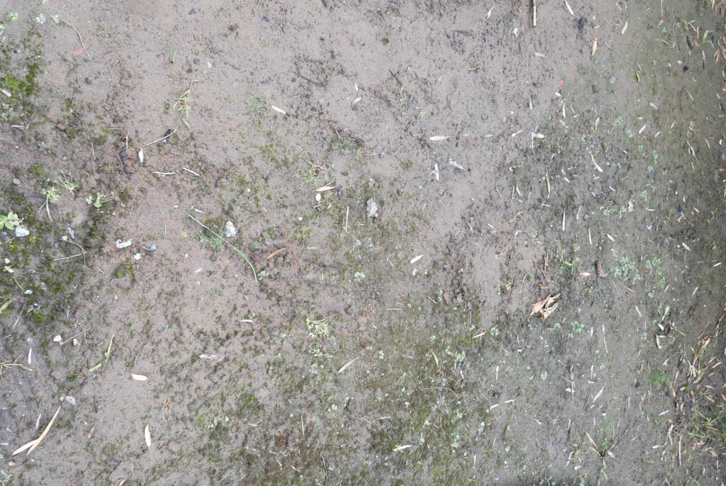 Ridges-and-mulch