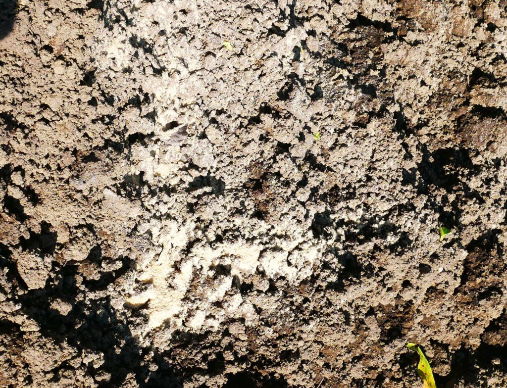 Ridges-and-mulch