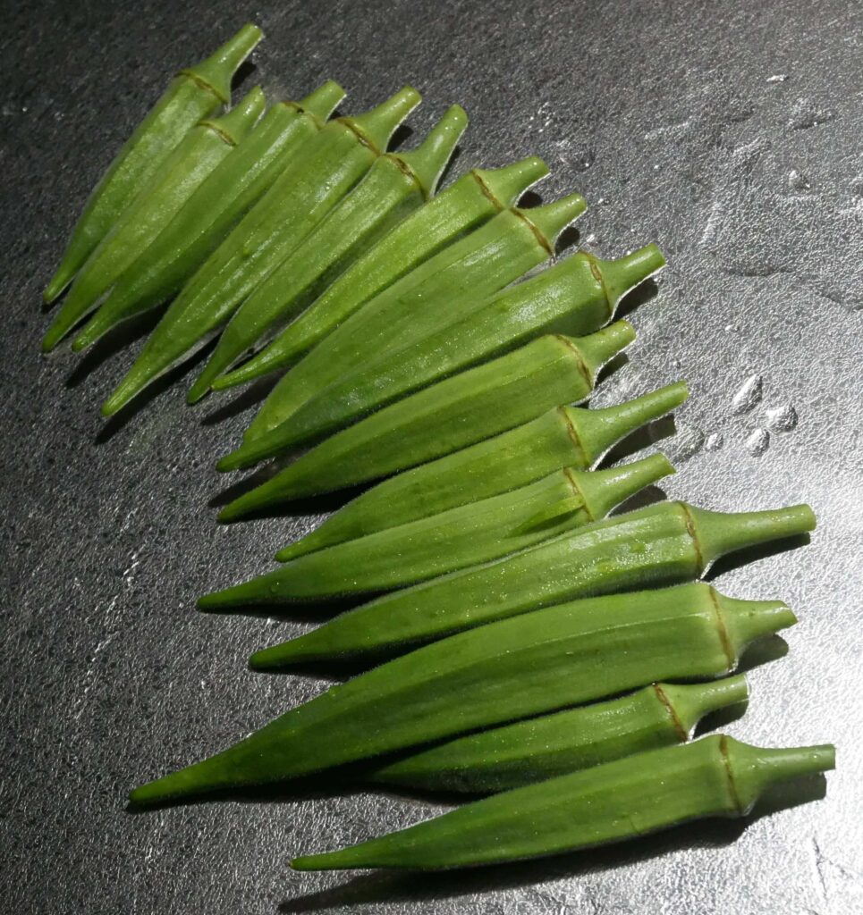 Early-Okra