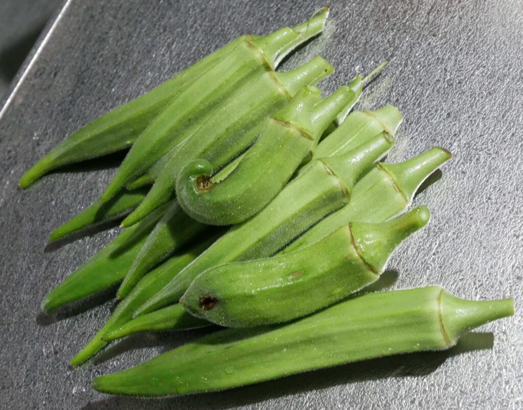 Early-Okra
