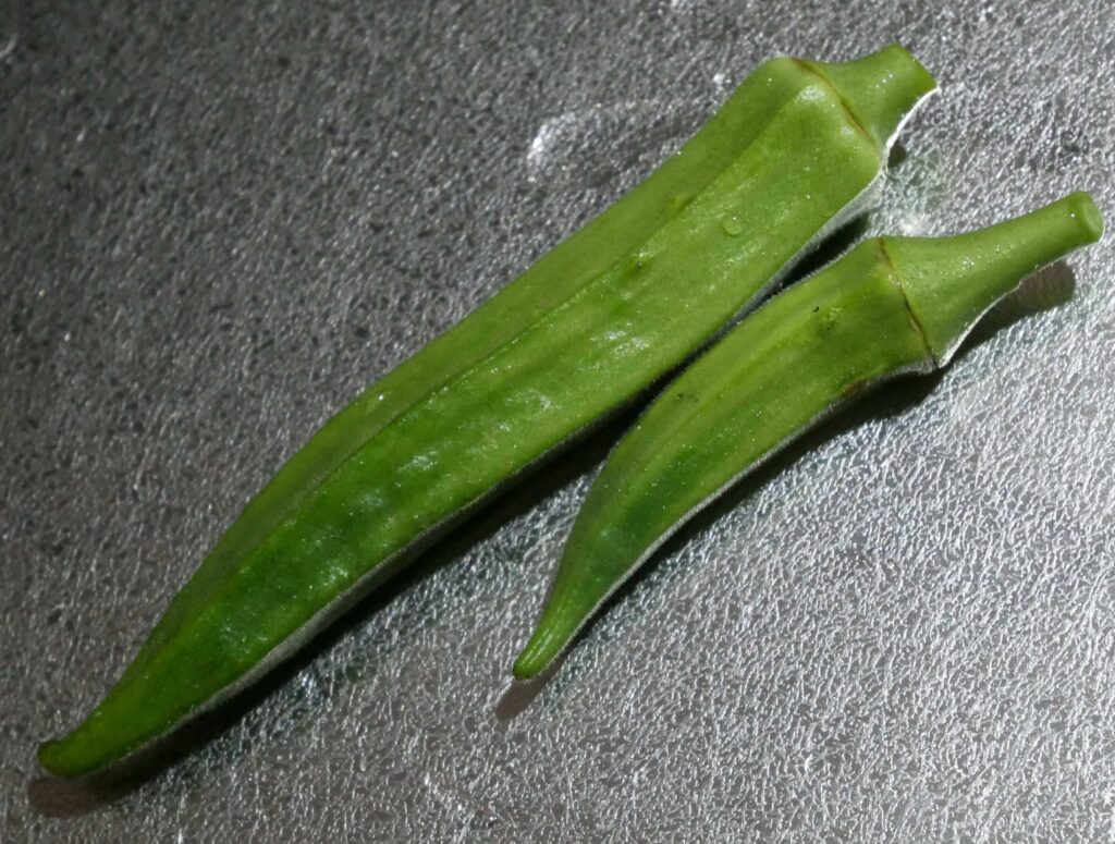 Early-Okra