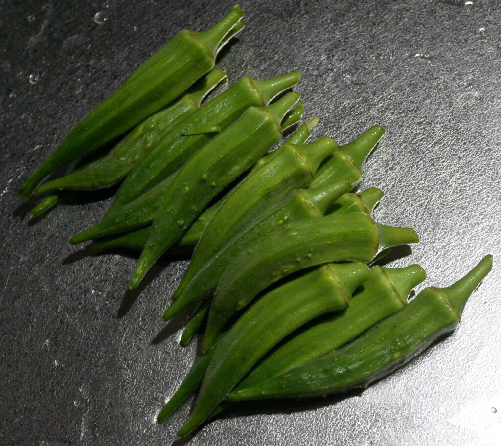 Early-Okra