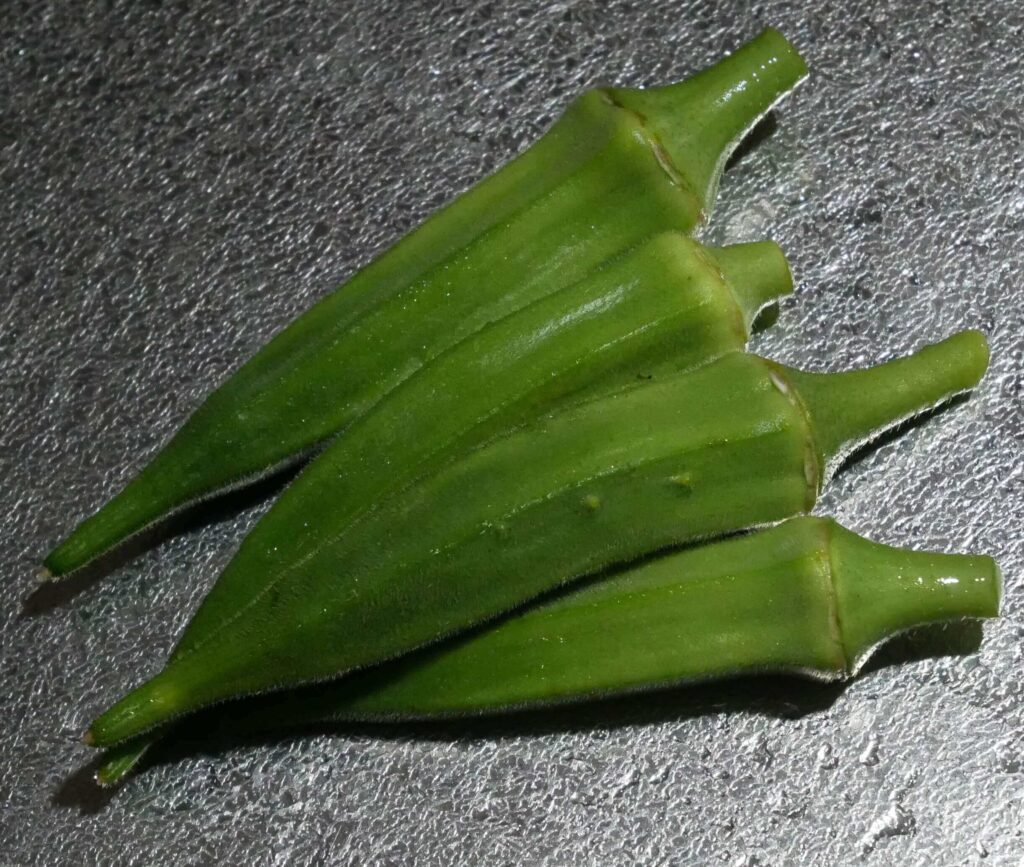 Early-Okra