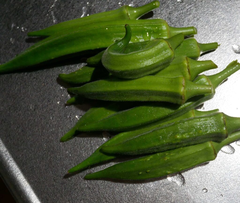 Early-Okra
