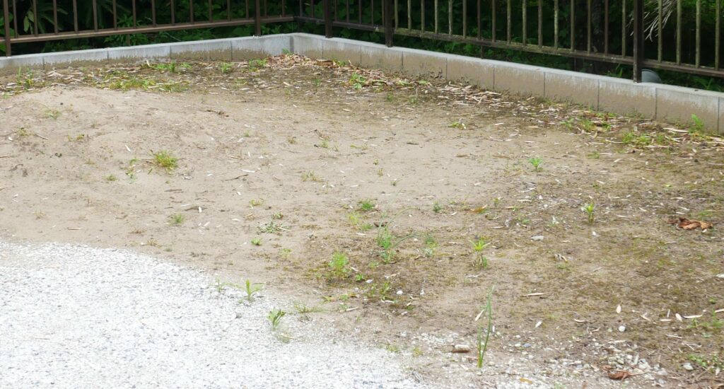 field