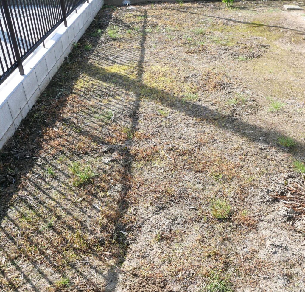 field