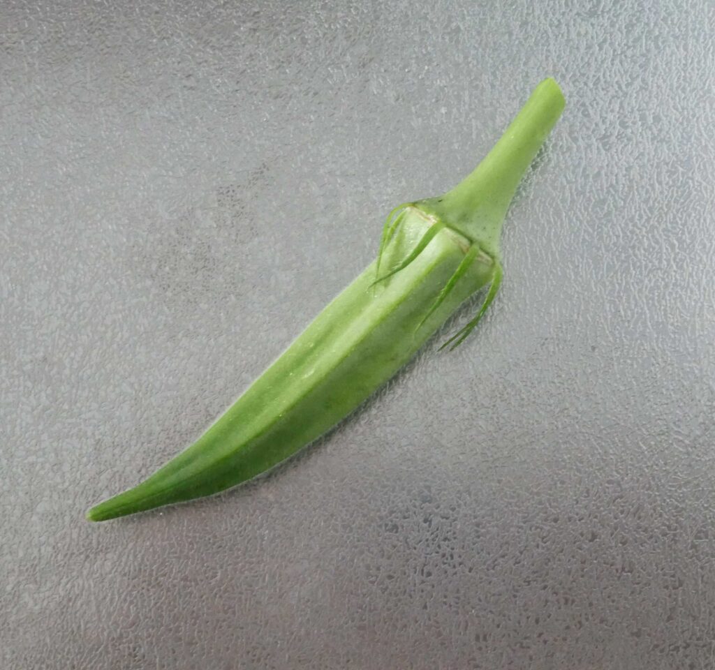 Early-Okra