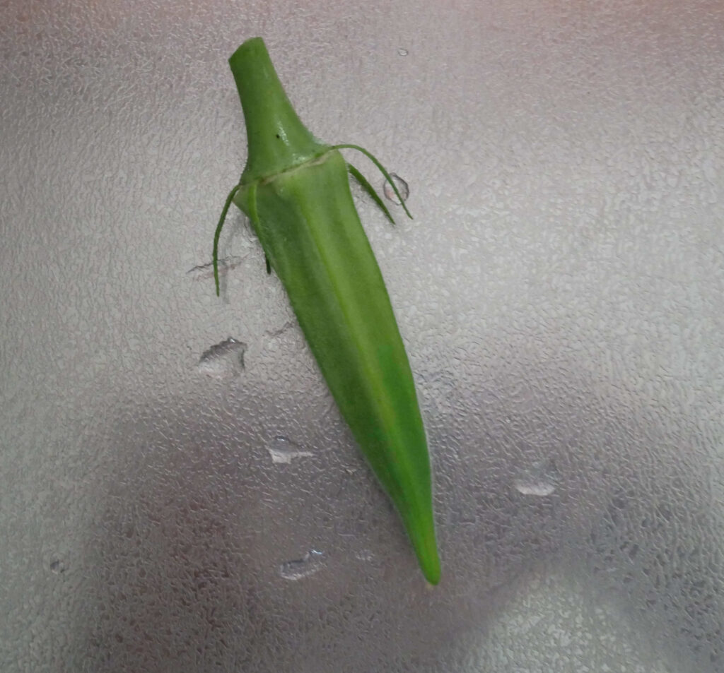 Early-Okra