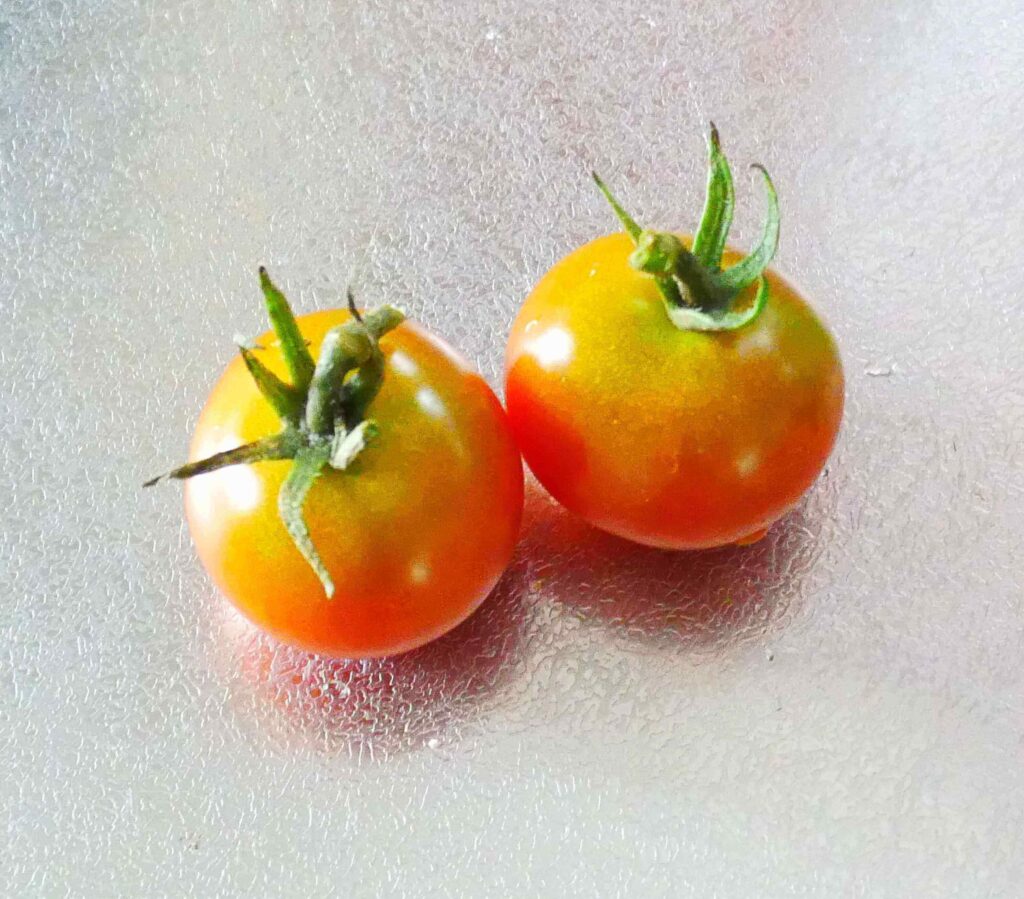 cherry-tomatoes