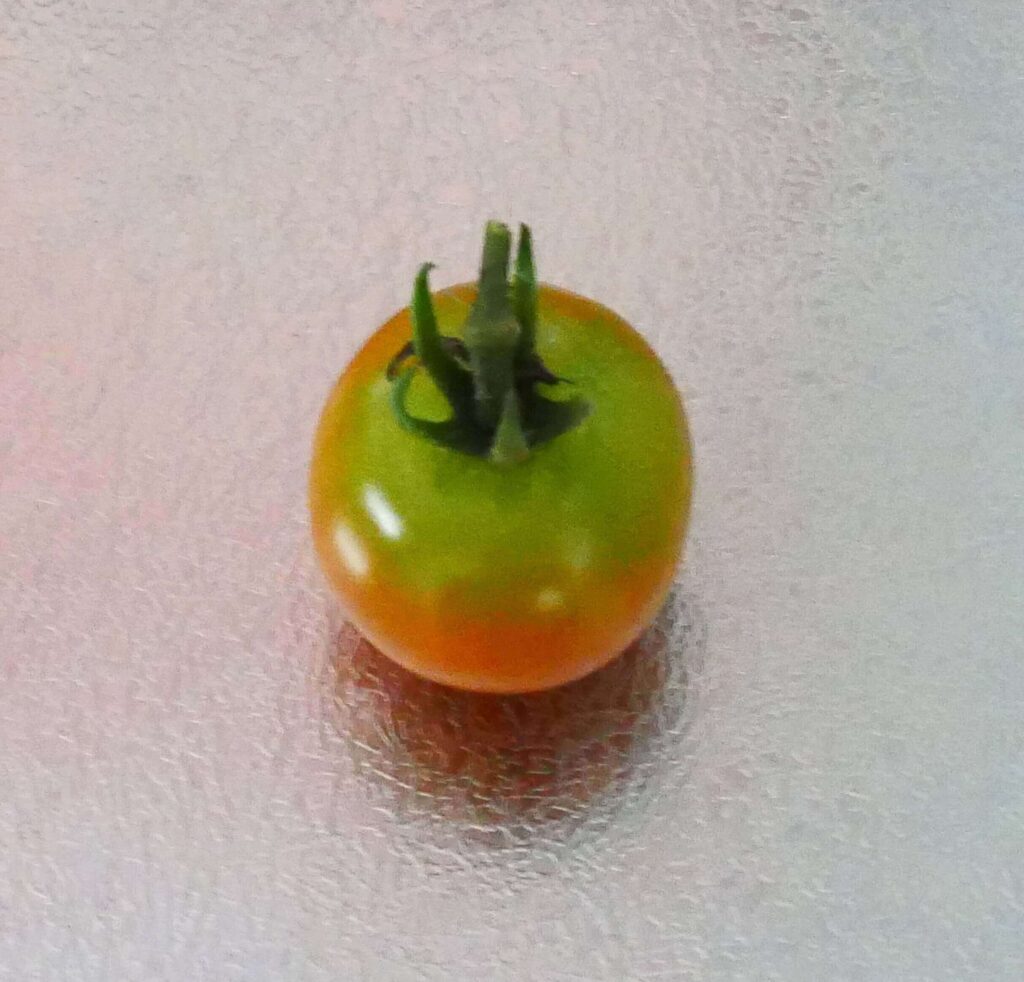 cherry-tomatoes