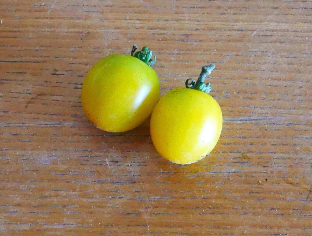 cherry-tomatoes