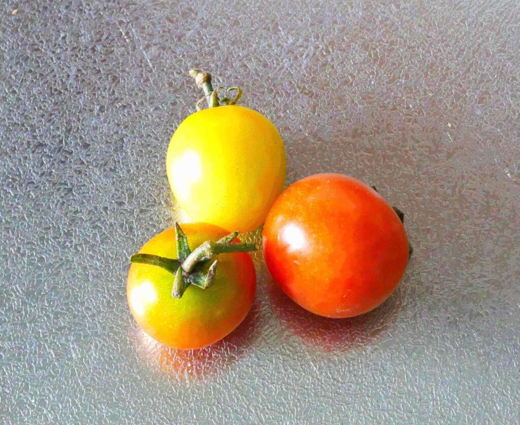 cherry-tomatoes