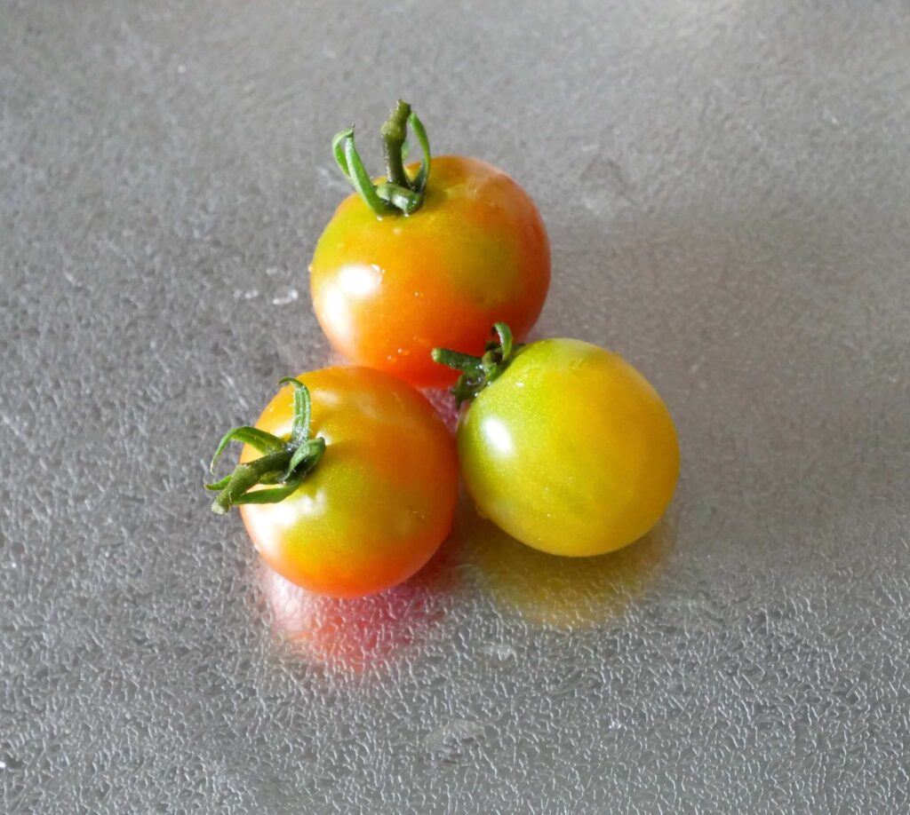 cherry-tomatoes