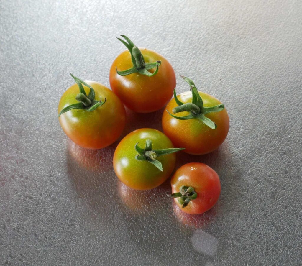 cherry-tomatoes