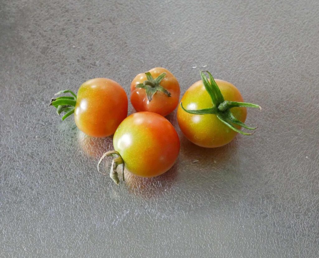 cherry-tomatoes