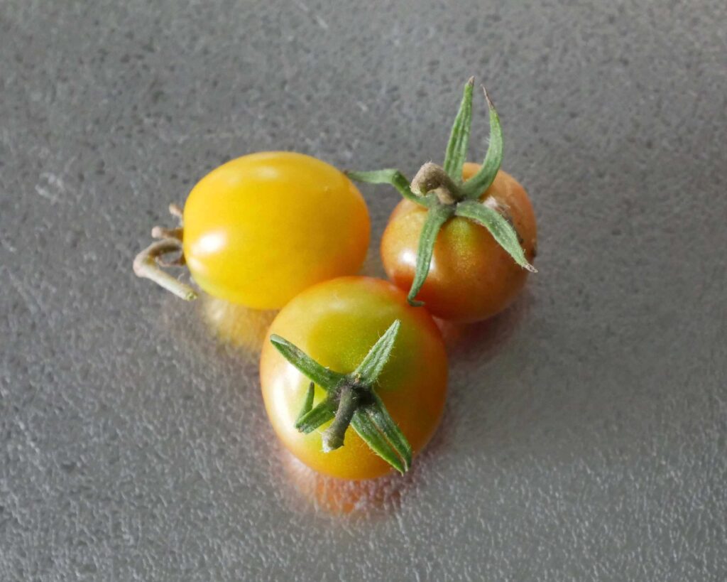 cherry-tomatoes