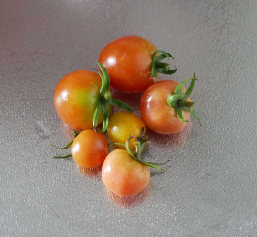 cherry-tomatoes