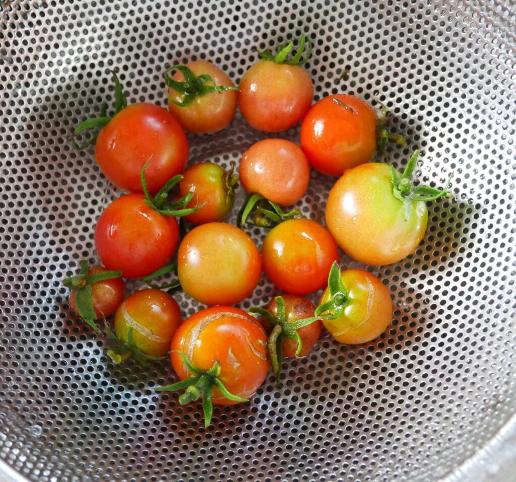 cherry-tomatoes