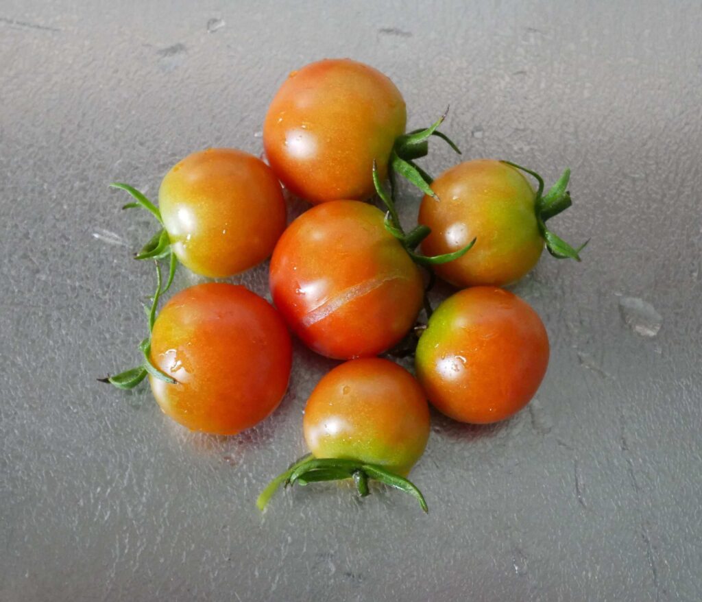 cherry-tomatoes