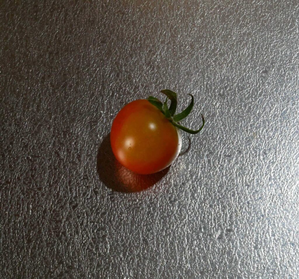 cherry-tomatoes