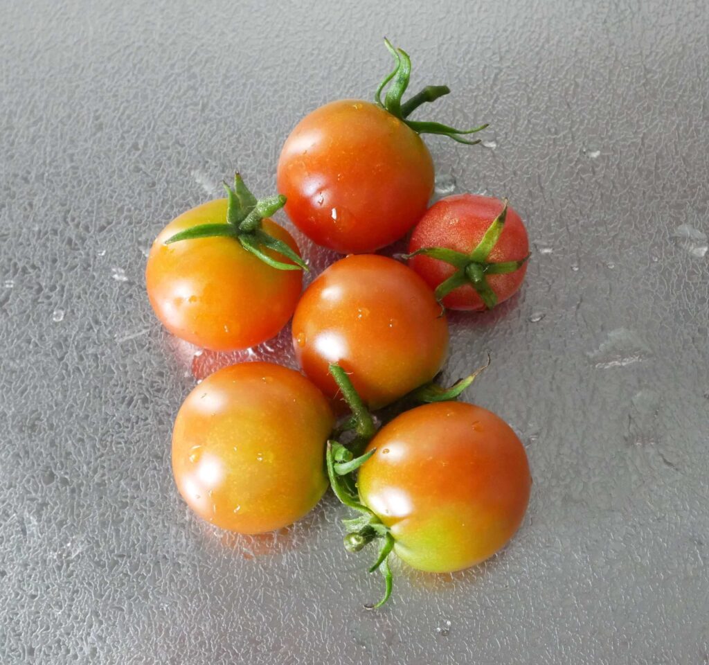 cherry-tomatoes