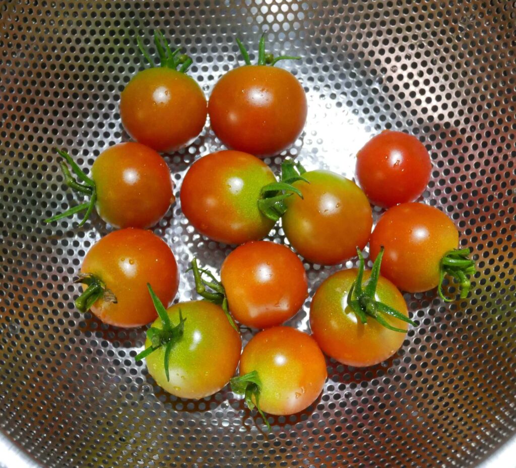 cherry-tomatoes