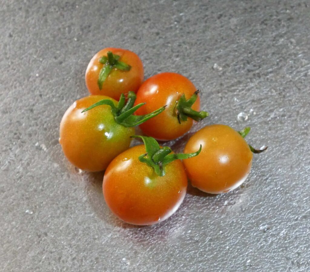 cherry-tomatoes