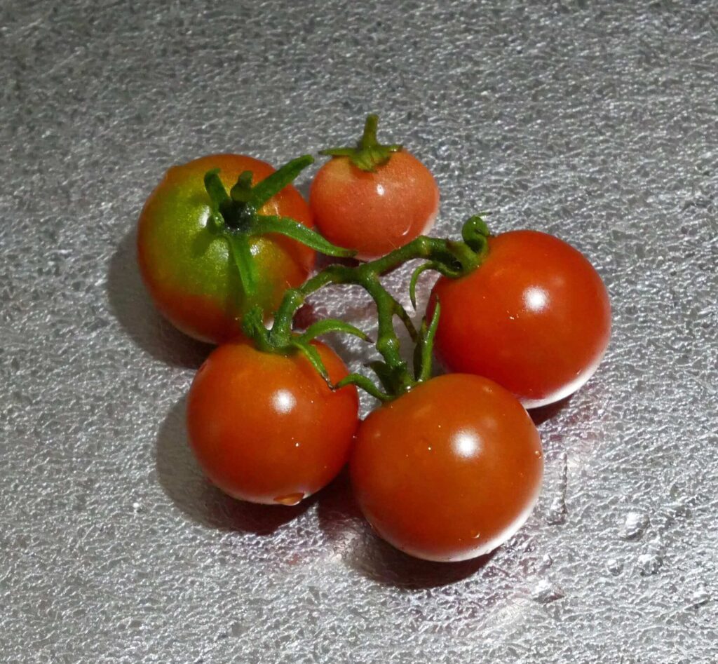 cherry-tomatoes