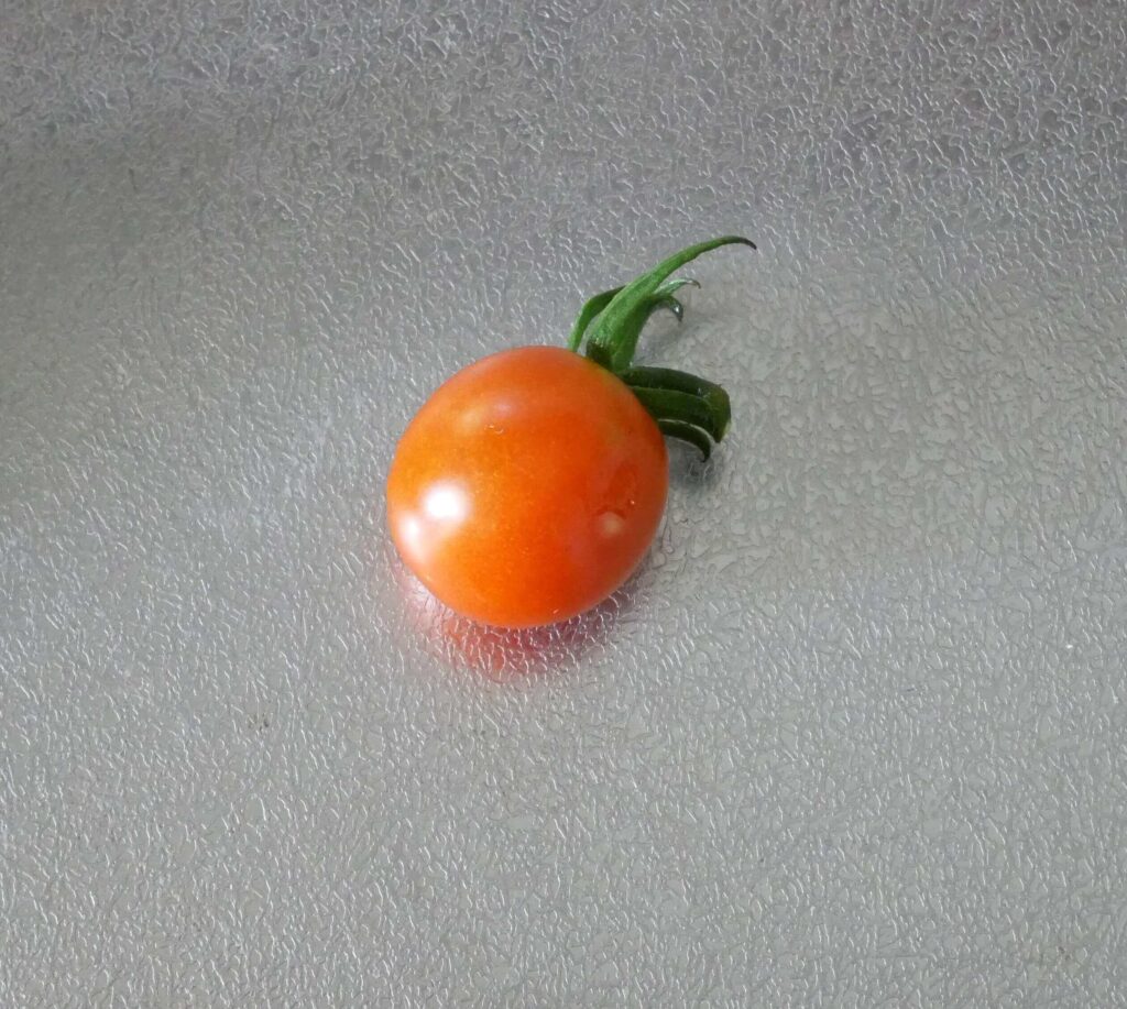 cherry-tomatoes