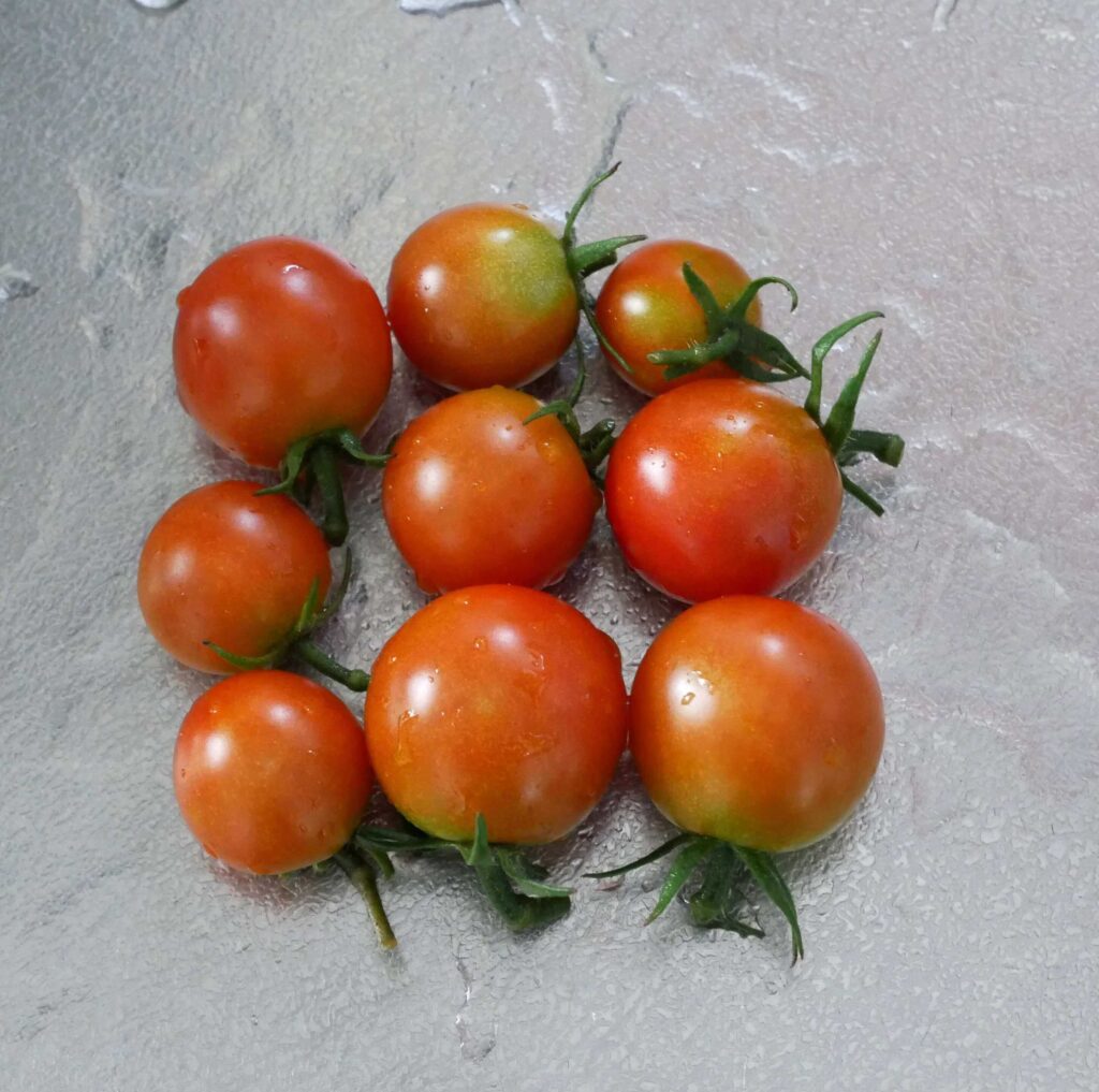 cherry-tomatoes